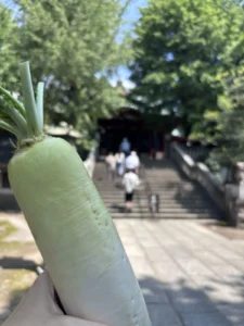 待乳山聖天でお供えする大根