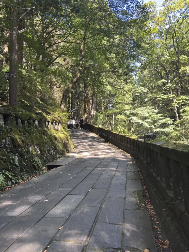 杉に囲まれた榛名神社の参道