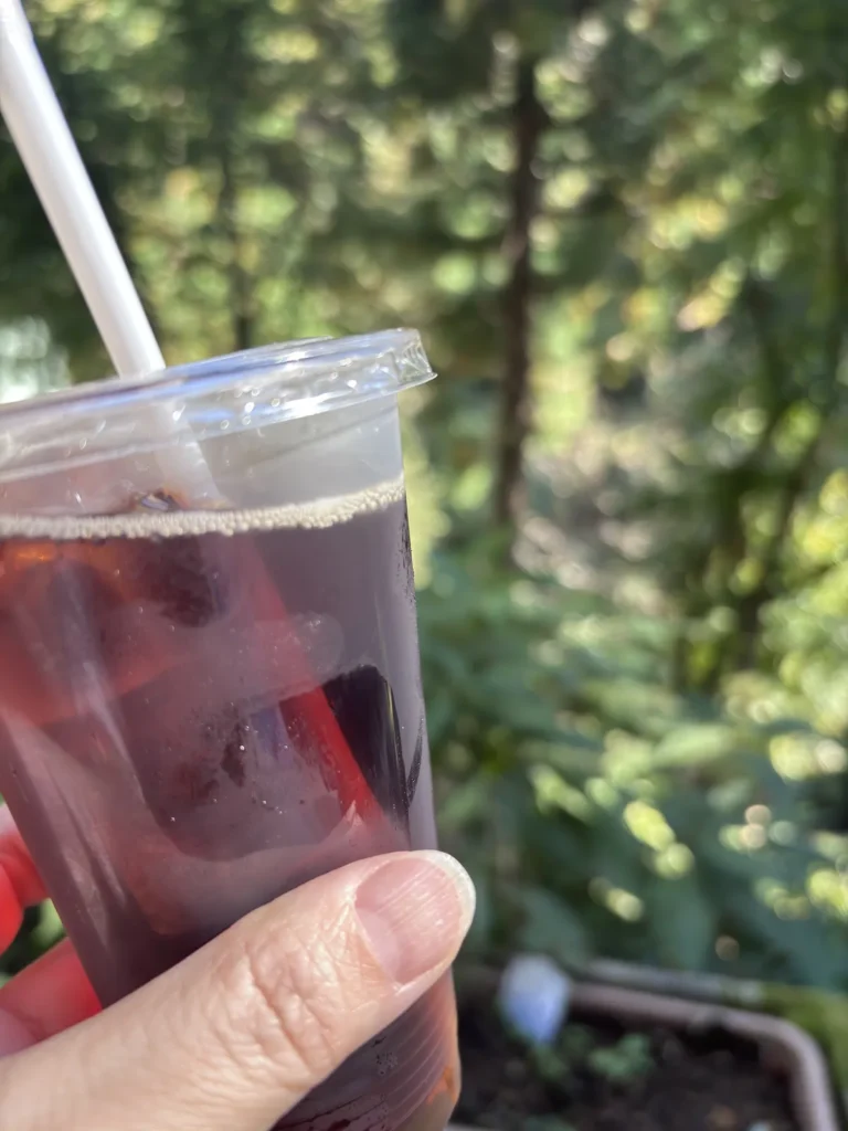 榛名神社の参道のお茶屋さんで飲んだ神水コーヒー